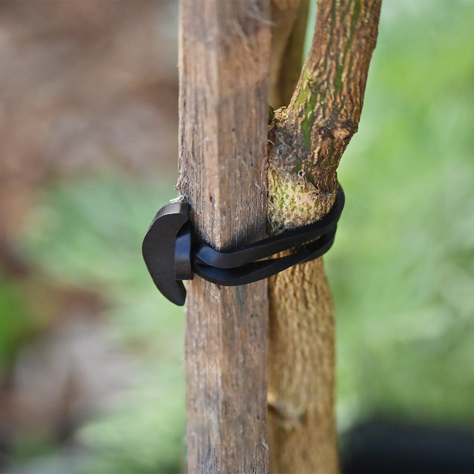 tree stake rubber bands Anchor Bands