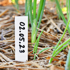 Plastic Plant Sticks