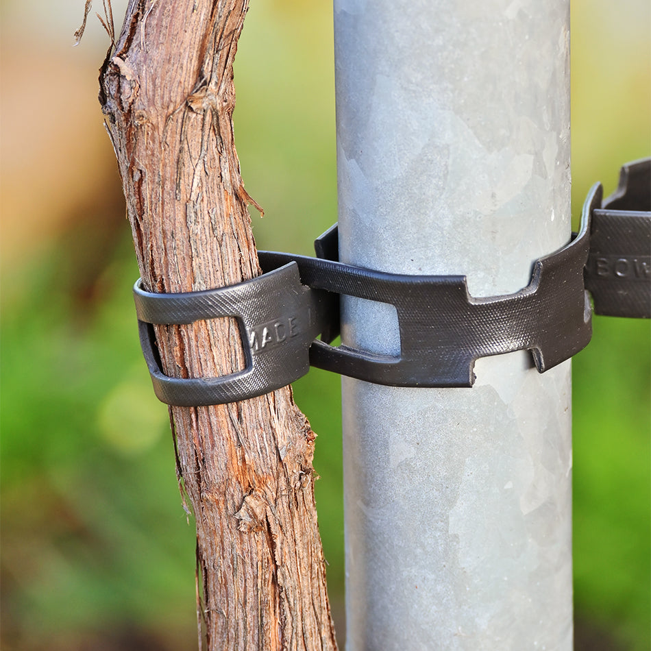 Locking Tree Chainlock - tiedgarden.com