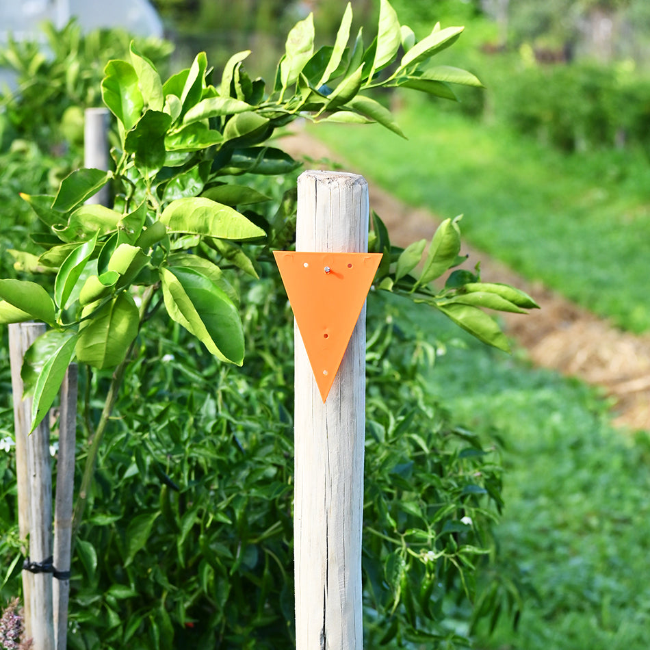 Triangle Markers - tiedgarden.com