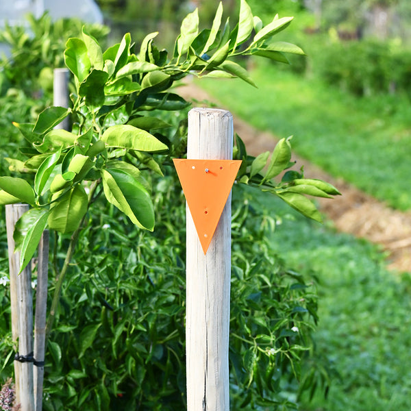 Triangle Markers - tiedgarden.com