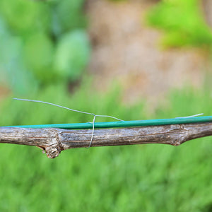 Galvanised Iron Wire Coil